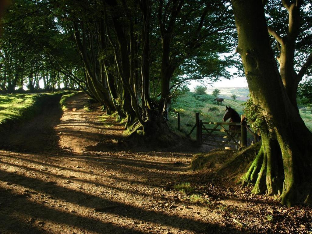 Notley Arms Inn Exmoor National Park Elworthy Bagian luar foto