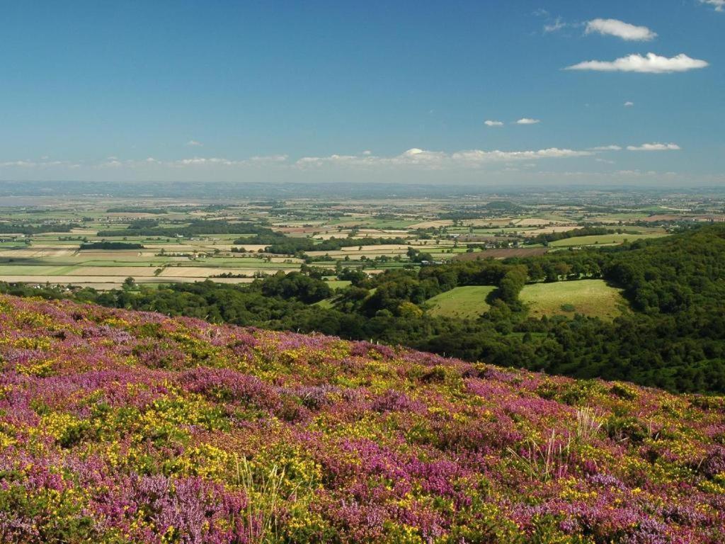 Notley Arms Inn Exmoor National Park Elworthy Bagian luar foto